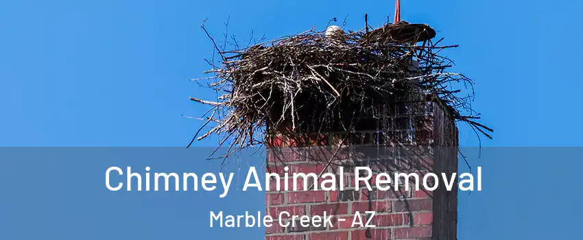 Chimney Animal Removal Marble Creek - AZ