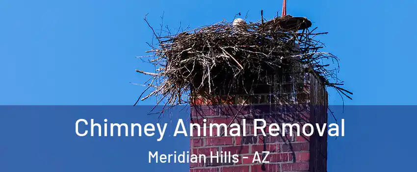 Chimney Animal Removal Meridian Hills - AZ