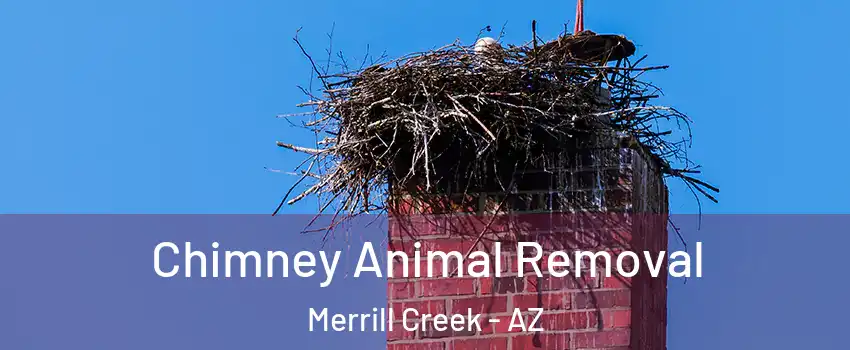 Chimney Animal Removal Merrill Creek - AZ