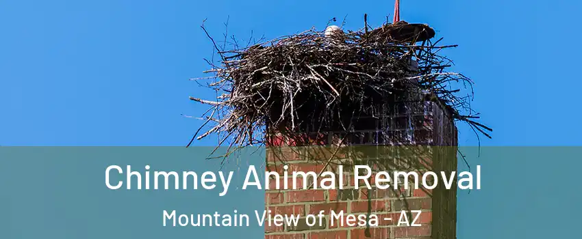 Chimney Animal Removal Mountain View of Mesa - AZ