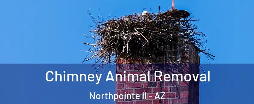 Chimney Animal Removal Northpointe II - AZ