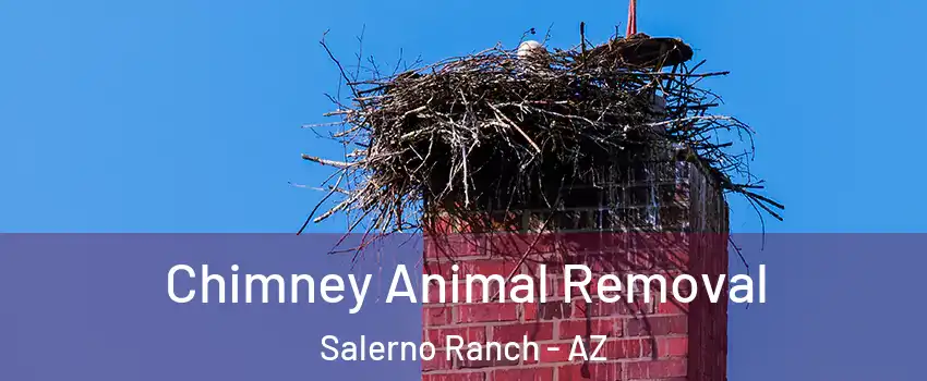 Chimney Animal Removal Salerno Ranch - AZ