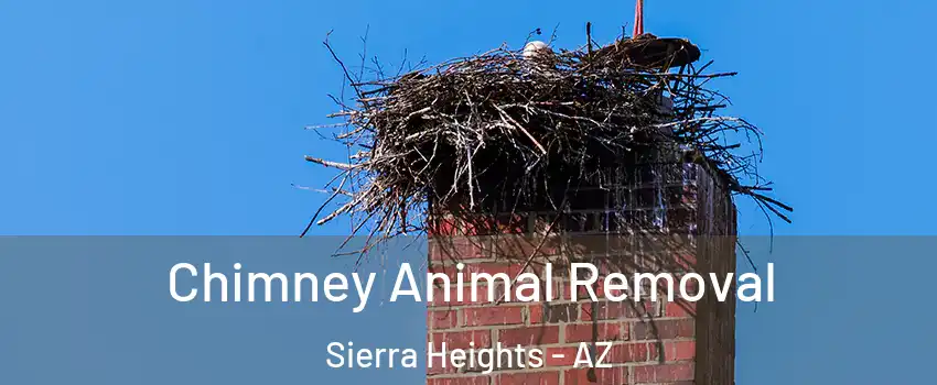 Chimney Animal Removal Sierra Heights - AZ