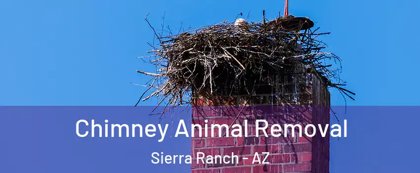 Chimney Animal Removal Sierra Ranch - AZ