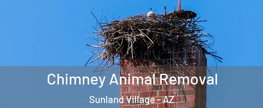 Chimney Animal Removal Sunland Village - AZ