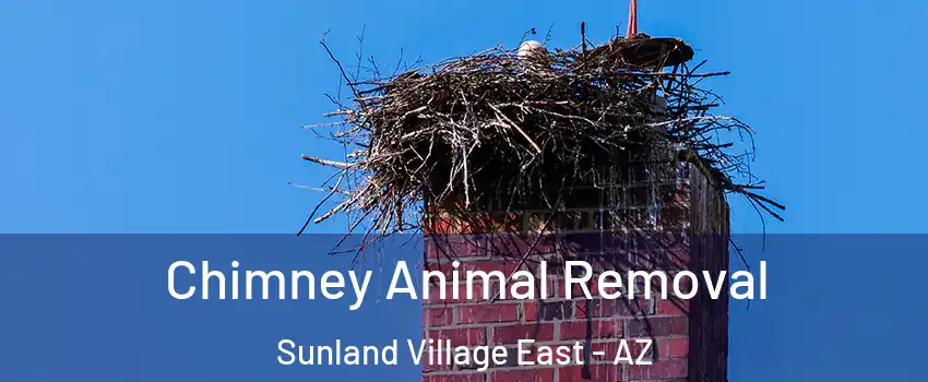 Chimney Animal Removal Sunland Village East - AZ