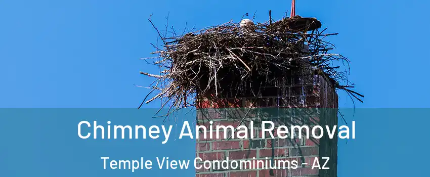 Chimney Animal Removal Temple View Condominiums - AZ