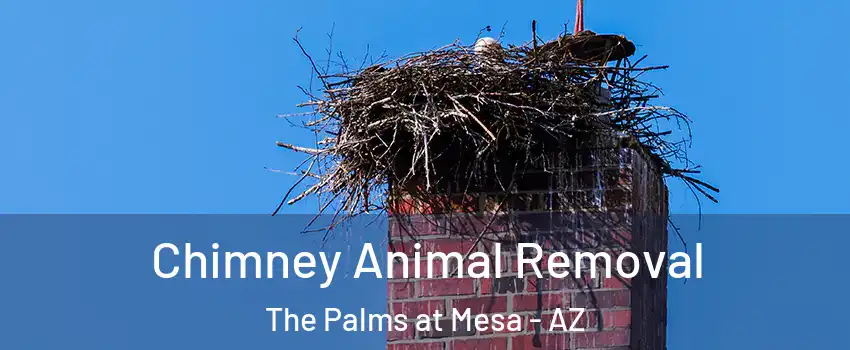 Chimney Animal Removal The Palms at Mesa - AZ