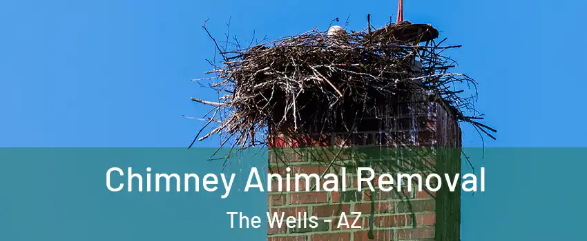 Chimney Animal Removal The Wells - AZ