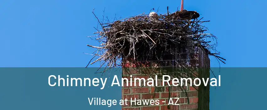 Chimney Animal Removal Village at Hawes - AZ