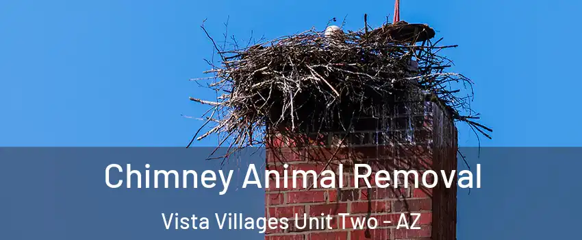 Chimney Animal Removal Vista Villages Unit Two - AZ