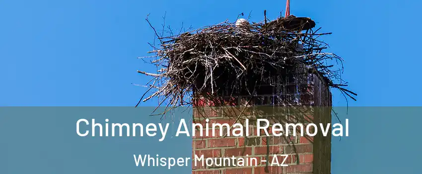 Chimney Animal Removal Whisper Mountain - AZ