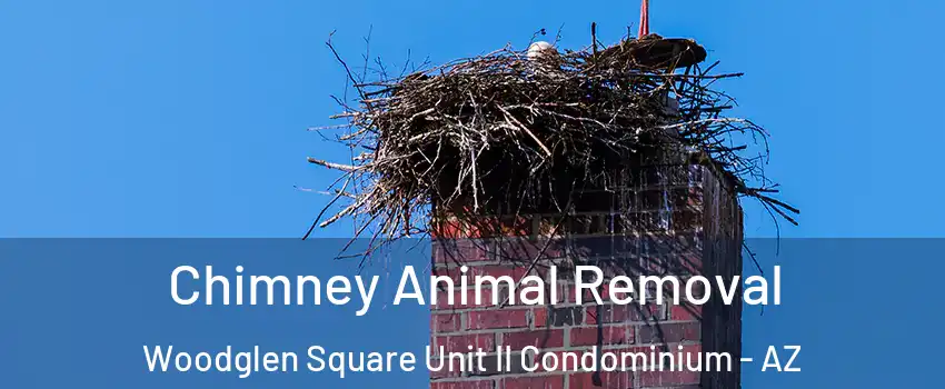 Chimney Animal Removal Woodglen Square Unit II Condominium - AZ