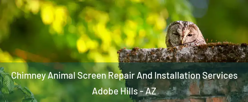 Chimney Animal Screen Repair And Installation Services Adobe Hills - AZ