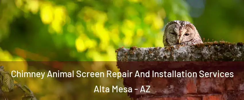 Chimney Animal Screen Repair And Installation Services Alta Mesa - AZ