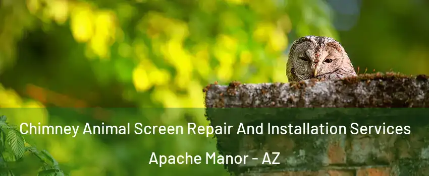 Chimney Animal Screen Repair And Installation Services Apache Manor - AZ