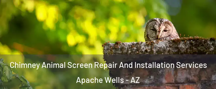 Chimney Animal Screen Repair And Installation Services Apache Wells - AZ