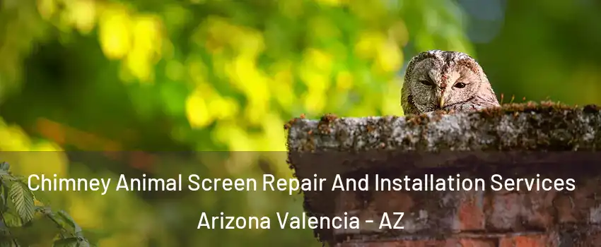 Chimney Animal Screen Repair And Installation Services Arizona Valencia - AZ
