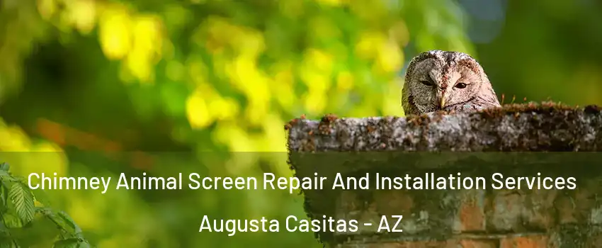 Chimney Animal Screen Repair And Installation Services Augusta Casitas - AZ
