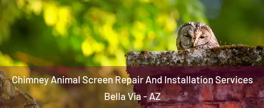 Chimney Animal Screen Repair And Installation Services Bella Via - AZ