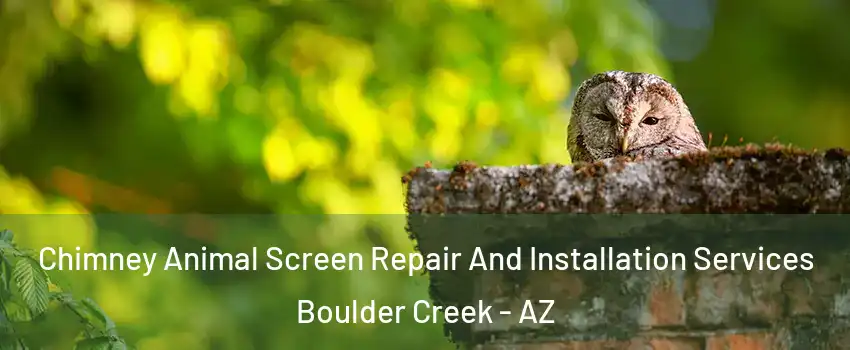 Chimney Animal Screen Repair And Installation Services Boulder Creek - AZ