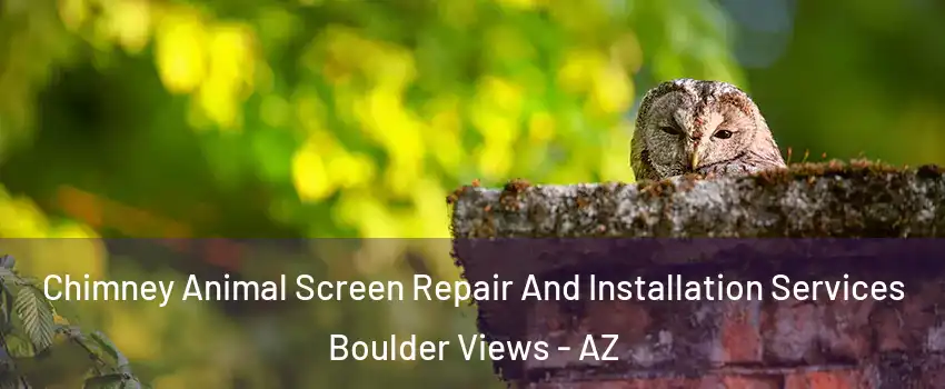 Chimney Animal Screen Repair And Installation Services Boulder Views - AZ