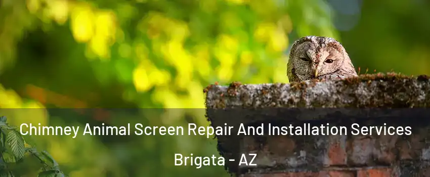 Chimney Animal Screen Repair And Installation Services Brigata - AZ