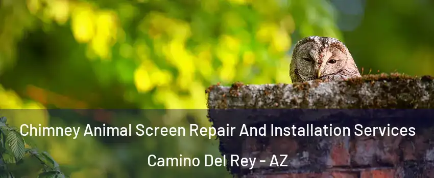 Chimney Animal Screen Repair And Installation Services Camino Del Rey - AZ