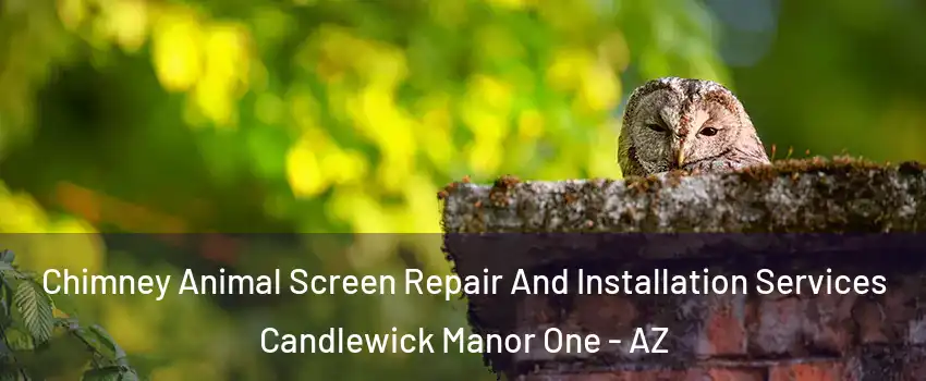 Chimney Animal Screen Repair And Installation Services Candlewick Manor One - AZ