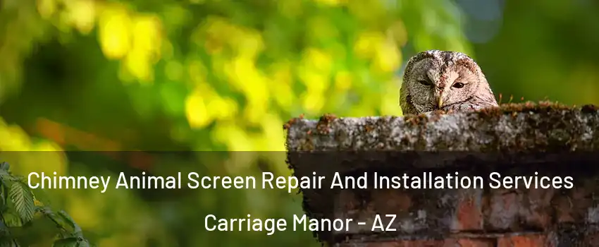 Chimney Animal Screen Repair And Installation Services Carriage Manor - AZ