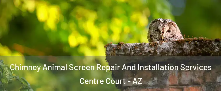 Chimney Animal Screen Repair And Installation Services Centre Court - AZ
