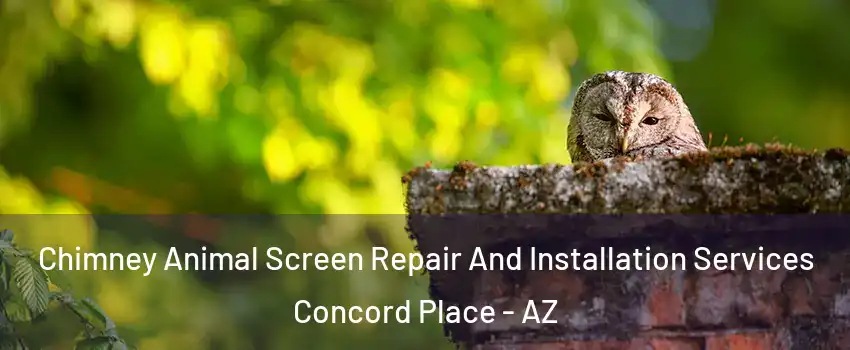 Chimney Animal Screen Repair And Installation Services Concord Place - AZ