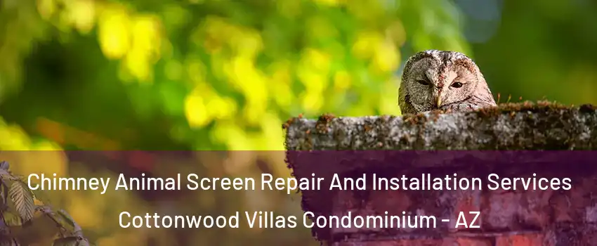 Chimney Animal Screen Repair And Installation Services Cottonwood Villas Condominium - AZ