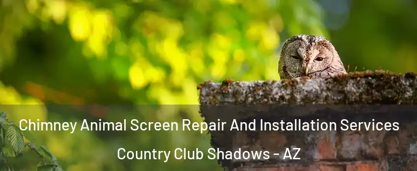 Chimney Animal Screen Repair And Installation Services Country Club Shadows - AZ
