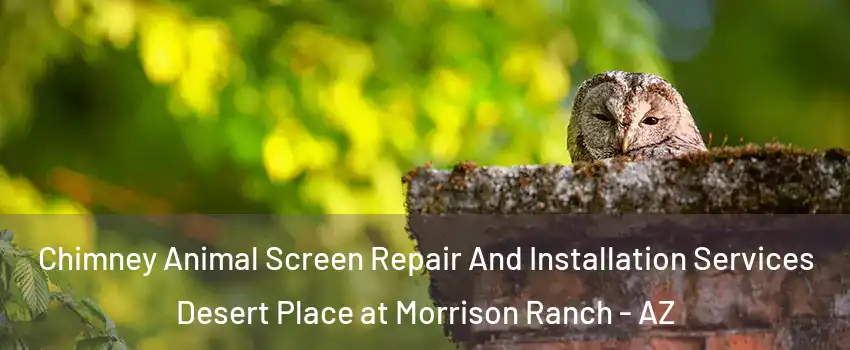 Chimney Animal Screen Repair And Installation Services Desert Place at Morrison Ranch - AZ