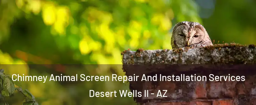 Chimney Animal Screen Repair And Installation Services Desert Wells II - AZ