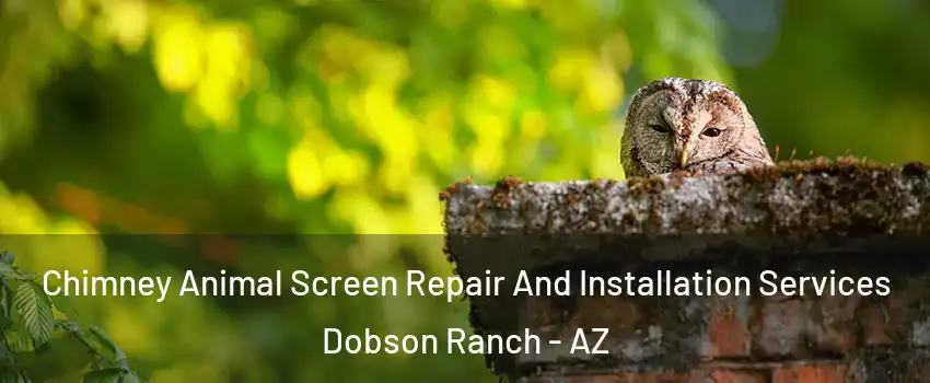 Chimney Animal Screen Repair And Installation Services Dobson Ranch - AZ