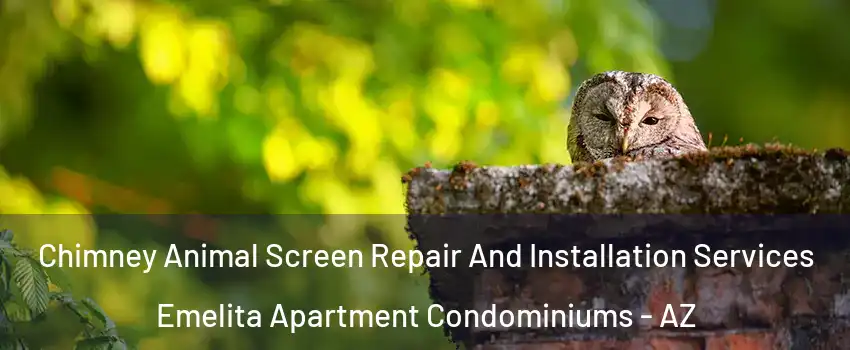 Chimney Animal Screen Repair And Installation Services Emelita Apartment Condominiums - AZ