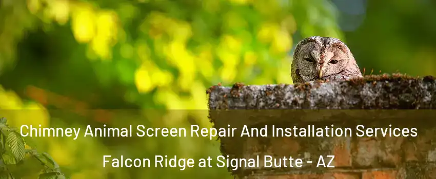 Chimney Animal Screen Repair And Installation Services Falcon Ridge at Signal Butte - AZ