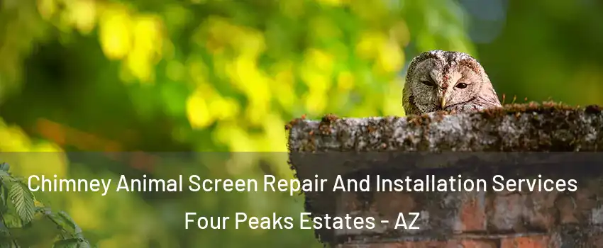 Chimney Animal Screen Repair And Installation Services Four Peaks Estates - AZ