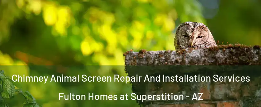 Chimney Animal Screen Repair And Installation Services Fulton Homes at Superstition - AZ