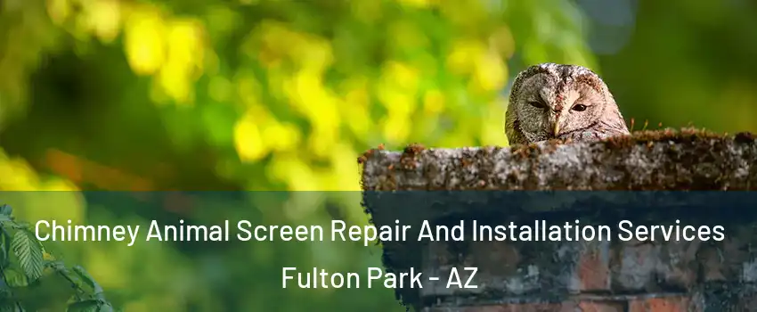 Chimney Animal Screen Repair And Installation Services Fulton Park - AZ