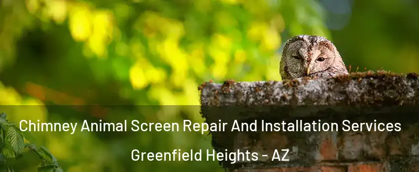 Chimney Animal Screen Repair And Installation Services Greenfield Heights - AZ
