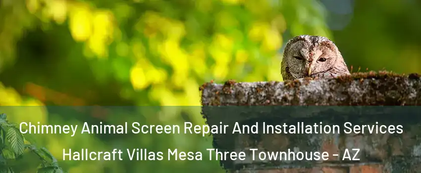 Chimney Animal Screen Repair And Installation Services Hallcraft Villas Mesa Three Townhouse - AZ