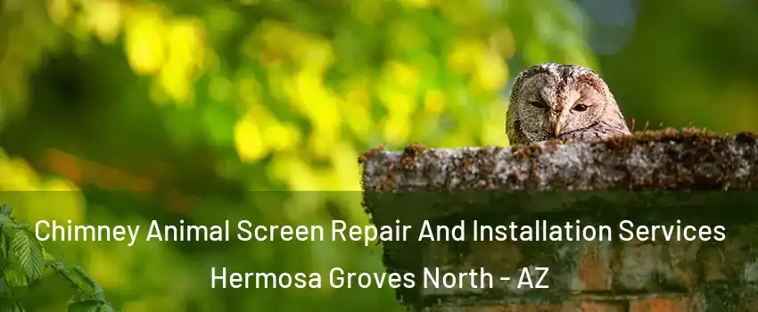 Chimney Animal Screen Repair And Installation Services Hermosa Groves North - AZ
