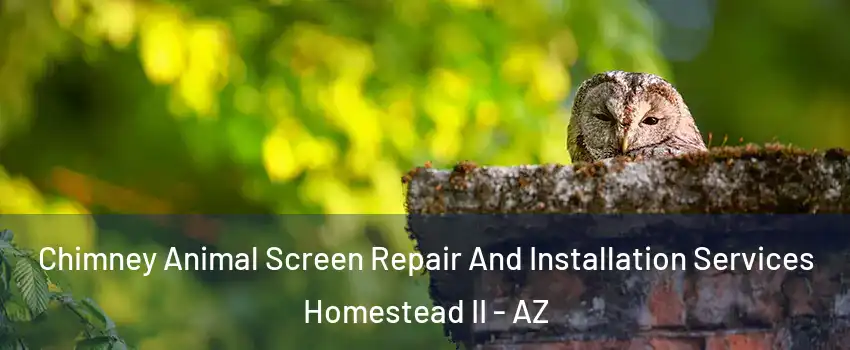 Chimney Animal Screen Repair And Installation Services Homestead II - AZ