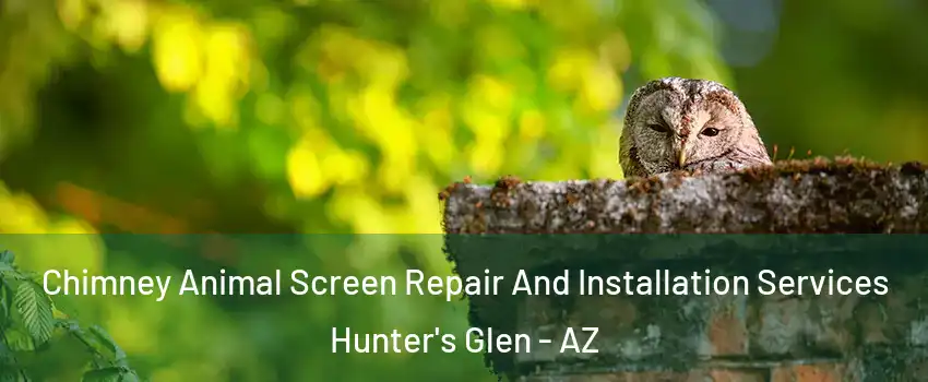 Chimney Animal Screen Repair And Installation Services Hunter's Glen - AZ