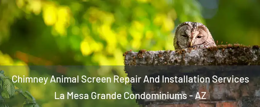 Chimney Animal Screen Repair And Installation Services La Mesa Grande Condominiums - AZ