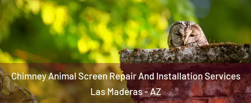 Chimney Animal Screen Repair And Installation Services Las Maderas - AZ
