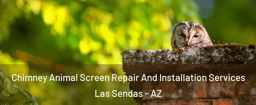 Chimney Animal Screen Repair And Installation Services Las Sendas - AZ